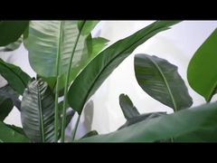 Vídeo de secção rotativa