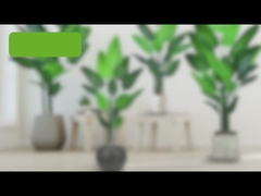 Palmeira Falsa do Viajante (palmeira ave-do-paraíso) - 180cm/200cm Folha PE Artificial Realista