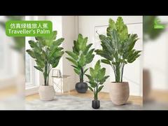 Palmeira do Viajante Artificial com Bordas de Folhas Realistas 160cm 180cm | Falsa Ave do Paraíso Realista