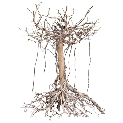 O costume seco do tronco de árvore da fibra de vidro vivo sustenta o estilo retro que planta a decoração
