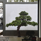 Dorm Room Decorative Artificial Potted Pine Tree 280cm Height