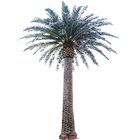 Artificial 15m Date Palm Tree For Theme Park Canteen Long Lasting Anti UV
