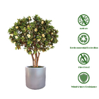 Environmentally Friendly Artificial Magnolia Tree No Color Fading Evergreen Plants