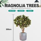 Environmentally Friendly Artificial Magnolia Tree No Color Fading Evergreen Plants