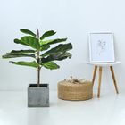 Harmless Artificial Ficus Lyrata 65cm Indoor Potted Plant For Garden Decor
