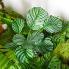 24" Plastic Home Decoration Plant Artificial Landscape Foliage Non Toxic