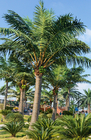 Large S Shape Artificial Coconut Palm Tree Height 4-15m UV Resistance