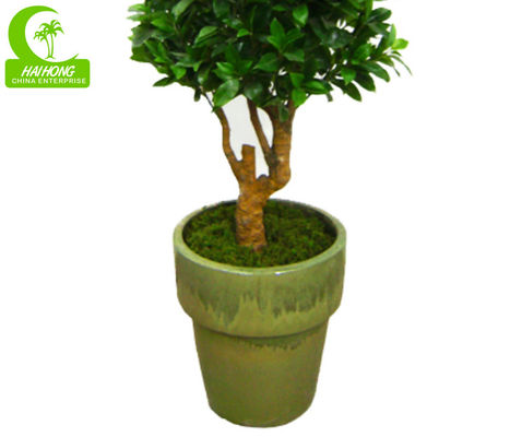 Interior Decoration Fiber Glass Trunk Artificial Ficus Tree H140cm