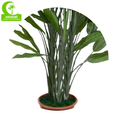 Hot Sale Artificial Bird Of Paradise Tree With Real Touch Leaves