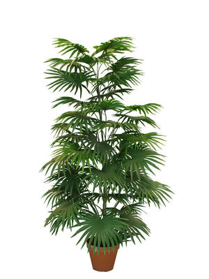 105cm Height Artificial Potted Floor Plants Mini Fan Palm Tree