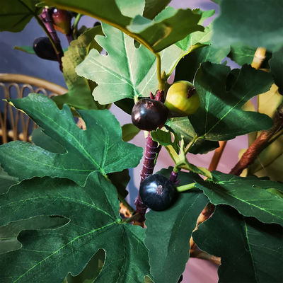 Height 155cm Artificial Potted Floor Plants FIG Tree Fresh Green