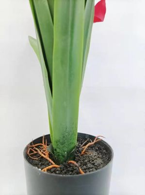 80cm Artificial Pineapple Plant Plastic Fruit Red Flowers Home Table Decoration