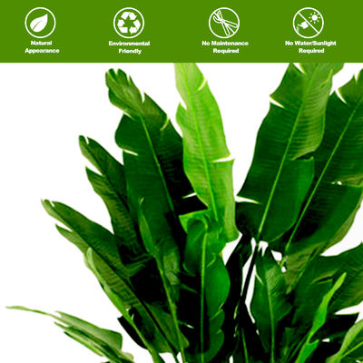 Anti - Fading Plastic Artificial Landscape Trees Potted Bird Of Paradise