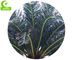 Árvore tropical 1200cm artificial antienvelhecimento da resistência do vento para Hotle