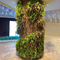 Esverdeamento vertical antienvelhecimento da folha do PE decorativo para ajardinar