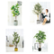 Fácil estético da decoração da casa importar-se a árvore artificial 1.6m do ficus