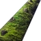 Bonsais nórdicos preservados naturais Moss For Green Plant Wall artificial