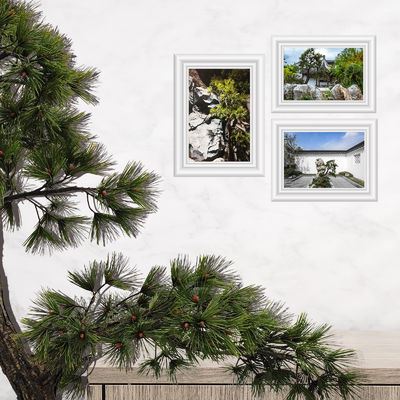 Chinese Pine Artificial Floor Plant For Landscpaing Decoration Long Lasting Leaves