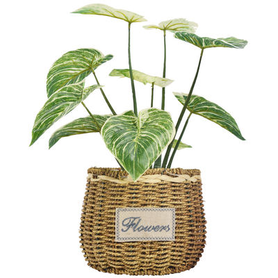 Bedroom Artificial Potted Floor Plants Plastic Philodendron Birkin