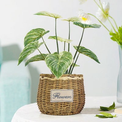 Bedroom Artificial Potted Floor Plants Plastic Philodendron Birkin
