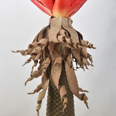 Custom 8.3'' Height Artificial Foliage Tree For Bedroom Balcony