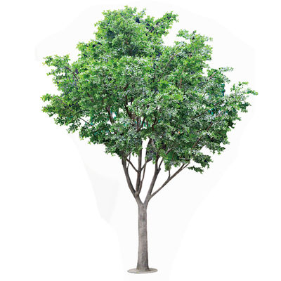Árvore de Banyan Artificial Para Decoração, Personalizada com 5M de Altura, Resistente a UV e Retardante de Chama