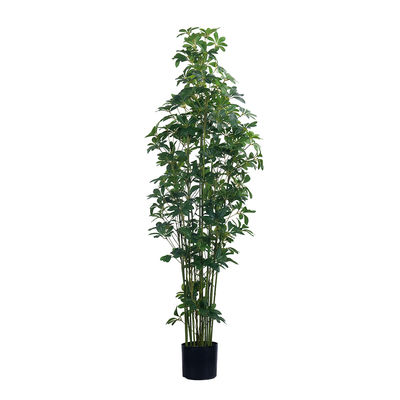 47in 59in 70in Alto Toque Real Artificial Schefflera Árvore Verde Potted Schefflera Planta Para Decoração Doméstica