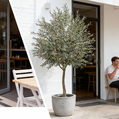 Planta Artificial Mais Vendida Combinando Oliveiras em Vaso Oliveira Ornamental de Alta Qualidade Artificial para Decoração de Interiores