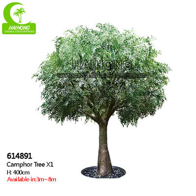 Fácil importar-se H400cm Laurel Tree Anti Fading artificial vivo